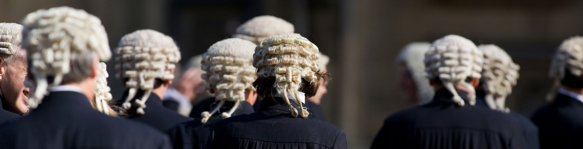 Image of back of heads with barrister's wigs on. The wigs are white with curls and their robes are black